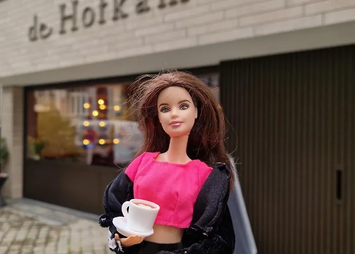 De Hofkamers 3* Ostende