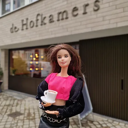 De Hofkamers 3* אוסטנדה