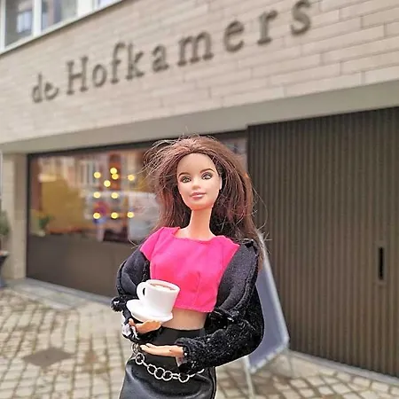 De Hofkamers Hotel Ostend