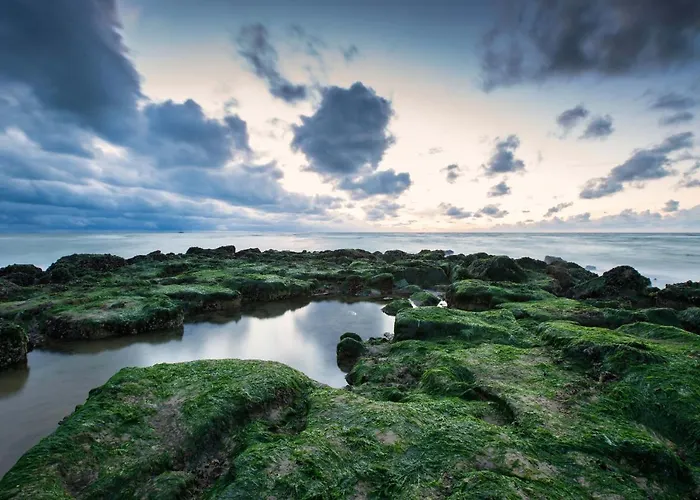 德霍克美思酒店
